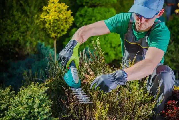 landscaping services Nortonville